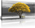 Wall Art For Living Room Decorations Photo Prints - Panoramic Black And White With Yellow Trees The Moon Scenery - Modern Home Decor The Room Stretched And Framed Ready To Hang Artwork 24x48inches