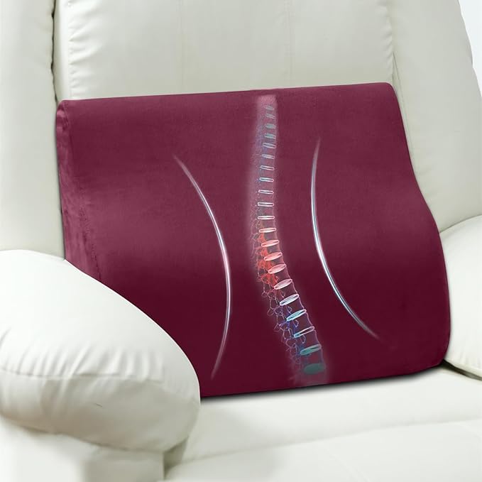 Back Support Pillow for Recliner Chair, Memory Foam Couch Back Cushions Ergonomic Large Lumbar Support Pillow for Lower Back Pain Relief, with Soft Velvet
