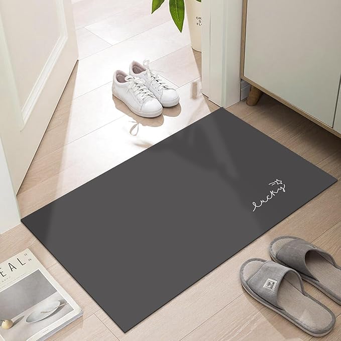 Ultra Thin Door Mat Indoor Entrance, 1/10 in Thin Door Mats for Inside Entry, Non-Slip Rubber Backing Washable Doormat, Fade Resistant, Absorbent, Low Profile Dirt Trapper, 35"X24"