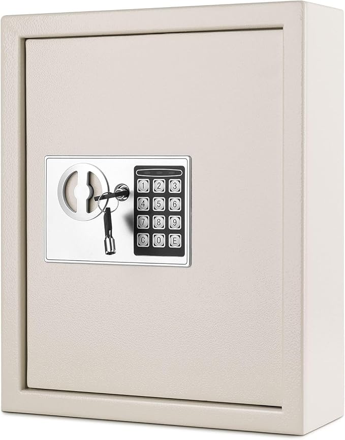 Flexzion Key Box Wall Mount With Code, Key Cabinet, Key Deposit Slot, 40 Key Holder Organizer Locker Case, Colored Key Tags Wall Mounted Lock Box For Keys Storage (Gray)