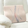 Lumbar Support Pillow for Recliner Chair and Couch, Memory Foam Back Cushion Ergonomic Large Back Support Pillow for Lower Back Pain Relief, with Soft Velvet
