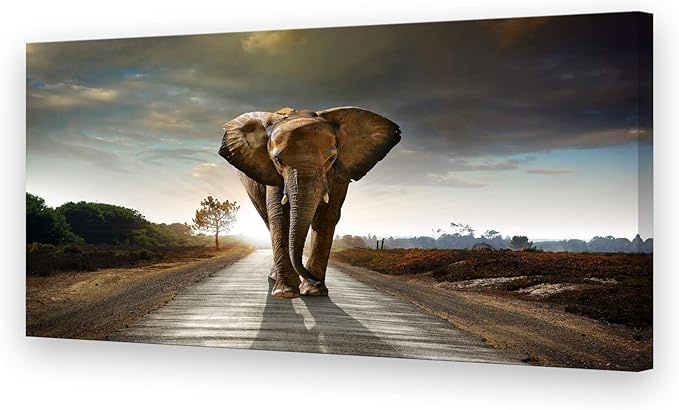 Muolunna D1275 Elephant Canvas Prints Wall Art Animals Photo Pictures Painting on Canvas Decor for Living Room Bedroom Home Office kitchen Wall Decor Stretched and Framed Grey Landscape Artwork
