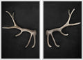 MUDECOR Framed Canvas Print Wall Art Rustic Antler Minimalist Antler Illustrations Modern Art Decorative Bohemian Colorful Chic for Living Room, Bedroom, Office - 24"x36"x2 White