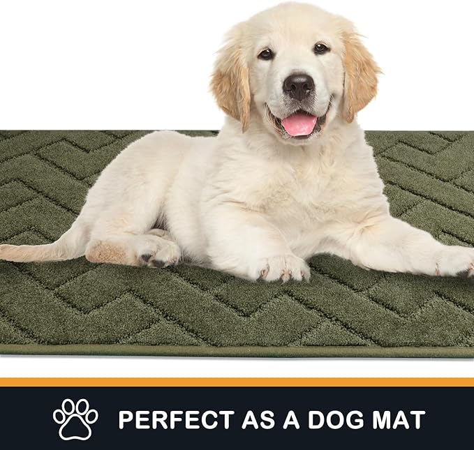 PURRUGS Dirt Trapping Door Mat 34" x 59", Non-Slip Machine Washable Entry Rug, Shoe Scraper, Dog Doormat, Super Absorbent Welcome Mat for Front & Back Door, Muddy Wet Shoes & Paws, Sage Green