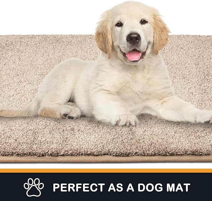 PURRUGS Dirt Trapping Door Mat 24" x 35.5", Non-Slip Machine Washable Entry Rug, Shoe Scraper, Dog Doormat, Super Absorbent Welcome Mat for Front & Back Door, Muddy Shoes & Paws, Taupe