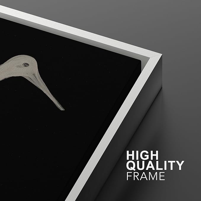 MUDECOR Framed Canvas Print Wall Art Minimalist Crane Silhouettes Illustrations Modern Art Decorative Bohemian Colorful for Living Room, Bedroom, Office - 16"x24"x2 White
