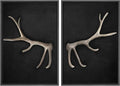 MUDECOR Framed Canvas Print Wall Art Rustic Antler Minimalist Antler Illustrations Modern Art Decorative Bohemian Colorful Chic for Living Room, Bedroom, Office - 24"x36"x2 Black