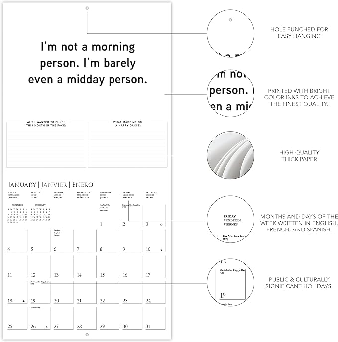 Graphique 2026 Punch Today in the Face Wall Calendar | 12” x 12” | Thick Paper | Home & Office Organizer | Large Monthly Grid | 3 Languages & Marked Holidays | 4 Month Preview Page for 2027