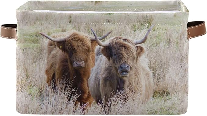 Highland Cows Storage Basket Cube Storage Bins Organizer Bag Collapsible Closet Shelf Baskets with handle for Cloth Book 14.2×10.2×8.3 IN