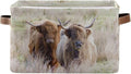 Highland Cows Storage Basket Cube Storage Bins Organizer Bag Collapsible Closet Shelf Baskets with handle for Cloth Book 14.2×10.2×8.3 IN