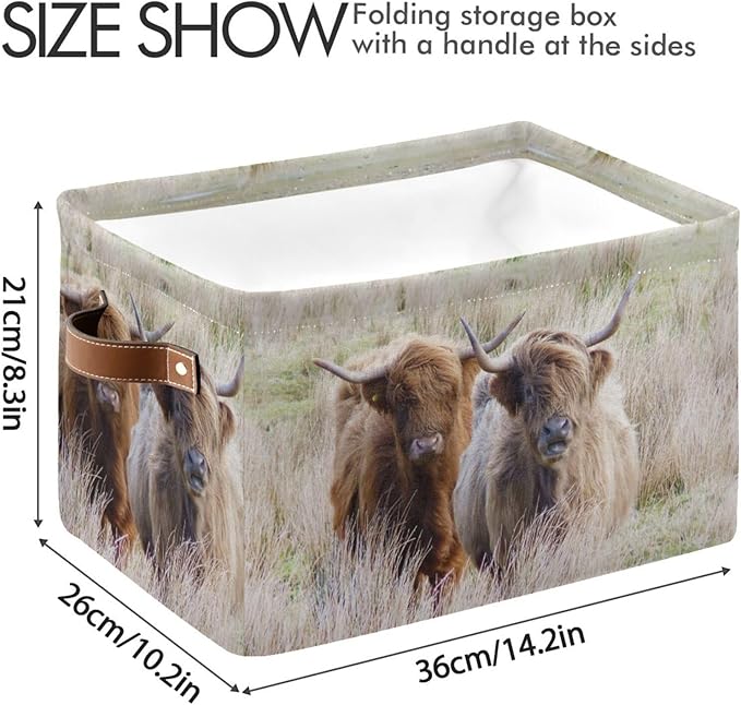 Highland Cows Storage Basket Cube Storage Bins Organizer Bag Collapsible Closet Shelf Baskets with handle for Cloth Book 14.2×10.2×8.3 IN