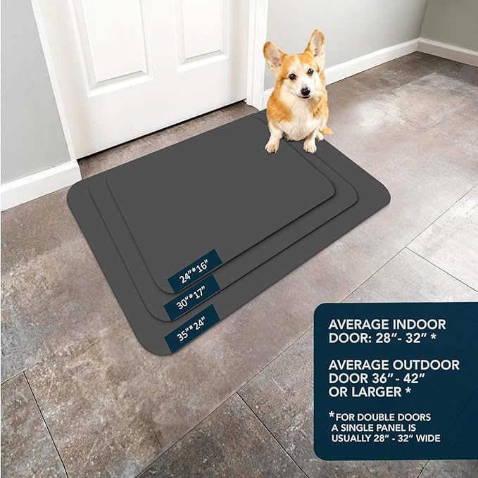 Ultra Thin Door Mat Indoor Entrance, 1/10 in Thin Door Mats for Inside Entry, Non-Slip Rubber Backing Washable Doormat, Fade Resistant, Absorbent, Low Profile Dirt Trapper, 30"X17",Grey