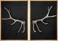 MUDECOR Framed Canvas Print Wall Art Rustic Antler Minimalist Antler Illustrations Modern Art Decorative Bohemian Colorful Chic for Living Room, Bedroom, Office - 16"x24"x2 Natural