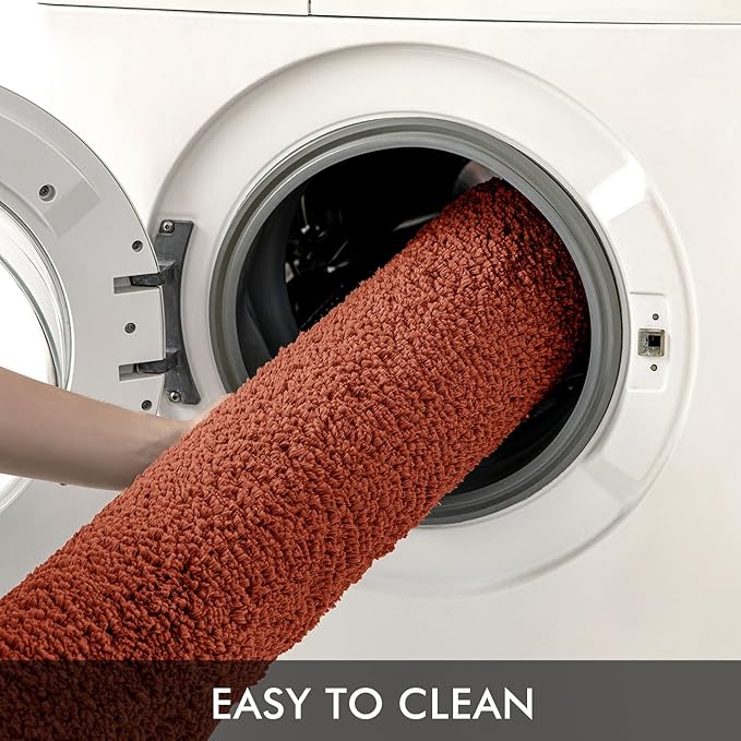 MIULEE Rust Extra Thick Non Slip Bathroom Rug Shaggy Soft Bath Mat Plush Microfiber Absorbent Water for Shower Tub Machine Washable (24x44 Inches)