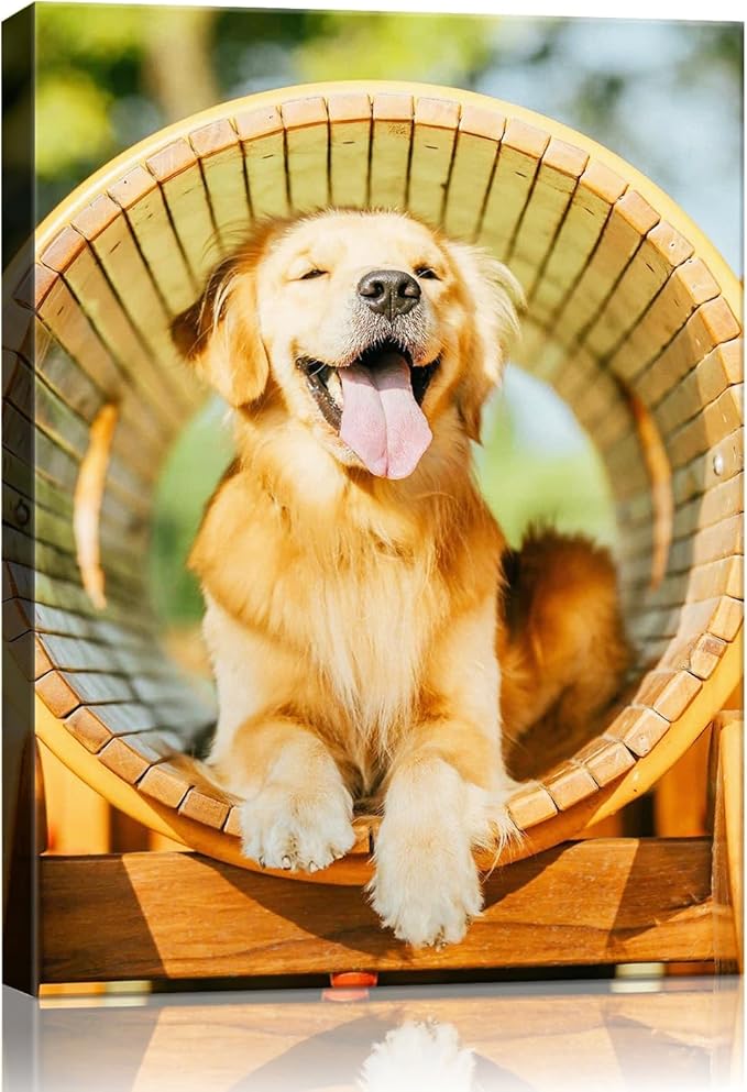 Canvas Prints with Your Photos (Framed 24x36) Personalized Canvas Pictures for Wall Art Digitally Customized Prints with Your Photo Custom Photo Gifts for Home Decor Print Photos Service from Amazon