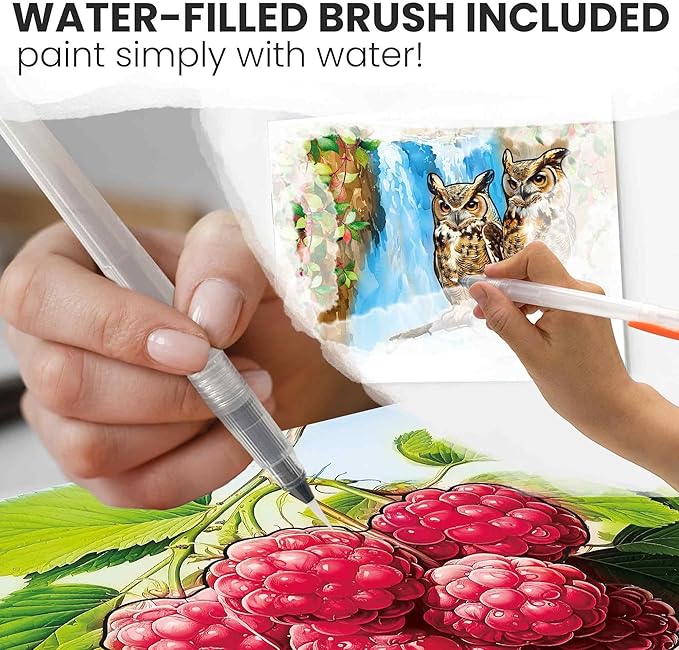 QUOKKA Dementia Activities for Seniors - Water Painting Alzheimers Products for Elderly - Reusable Activity Kits for Dementia Patients - Forest Moments Relaxing Set