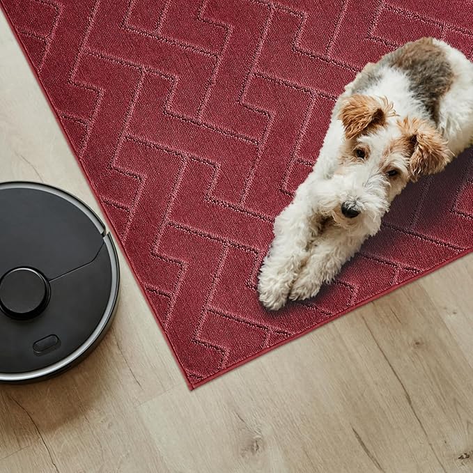 PURRUGS Easy Care Area Rug 4ft x 6ft, Non-Slip Machine Washable Entry Rug, Dog Door Mat, Stain Resistant Accent Rug for Hallway, Bedroom, Living Room and Mudroom, Cherry Red