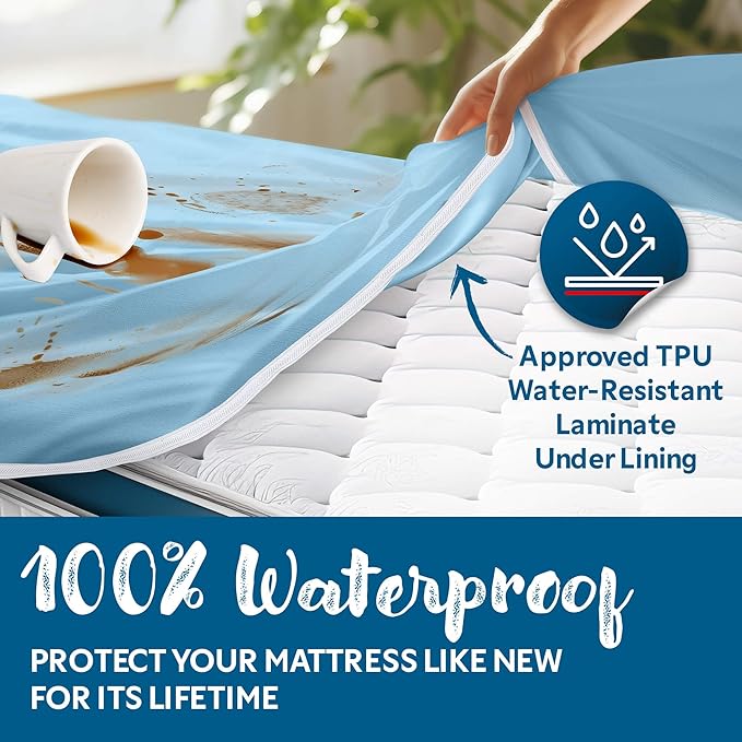 Guardmax Jersey Knitted Sleeper Sofa Zippered Mattress Encasement - Waterproof & Bed Bug Proof Mattress Protector - Comfortable, Soft, and Noiseless Zippered Bedding - Dust Mite Proof (60 x 72 x 5)