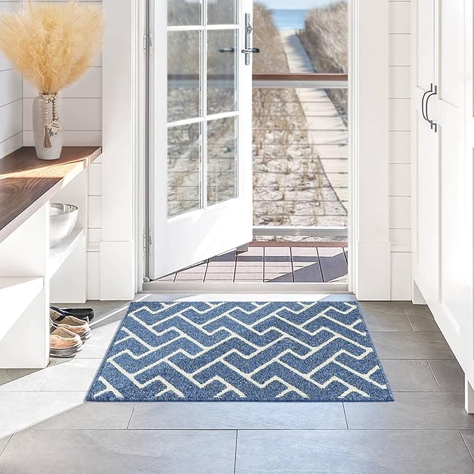 hicorfe Indoor Doormat,Front Back Door Mat Rubber Backing Non Slip Door Mats 20"x31.5" Absorbent Resist Dirt Entrance Doormat Inside Floor Mats for Entryway Washable Low-Profile(Light Blue)