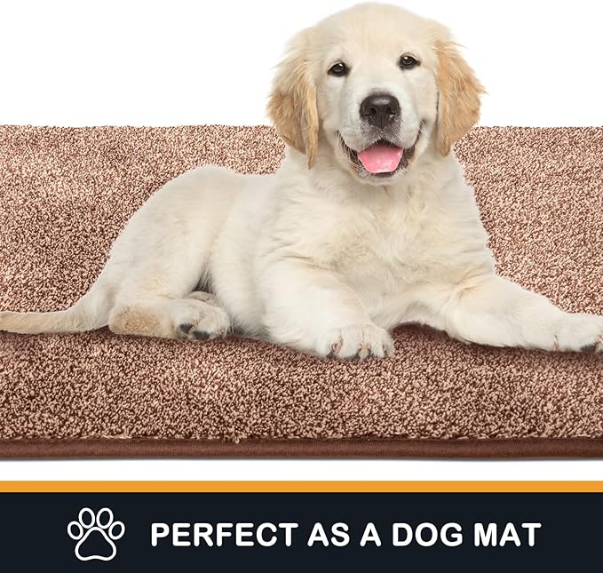 PURRUGS Dirt Trapping Door Mat 20" x 31.5", Non-Slip Machine Washable Entry Rug, Shoe Scraper, Dog Doormat, Super Absorbent Welcome Mat for Front & Back Door, Muddy Shoes & Paws, Brown-Light Cream