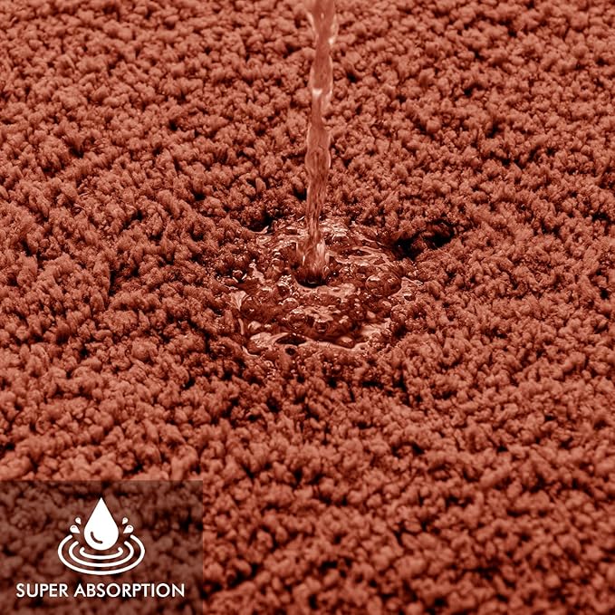 MIULEE Rust Bathroom Rugs Non Slip Bath Mat 24'' x 48'' Shaggy Soft Bath Rug Plush Microfiber Absorbent Water for Shower Tub Machine Washable (24x48 Inches)