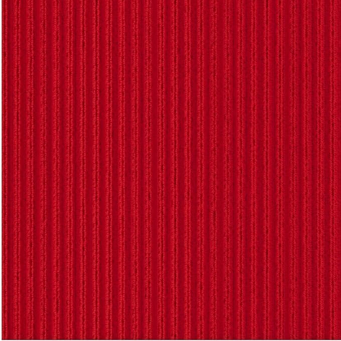 Ottomanson Mud Mat 2'7" x 3' Entryway Rug - Non-Slip Scraper Doormat for Muddy Paws, Dirt Trapping Indoor/Outdoor Mat for High-Traffic Areas, Kitchen, Garage, Patio, Red