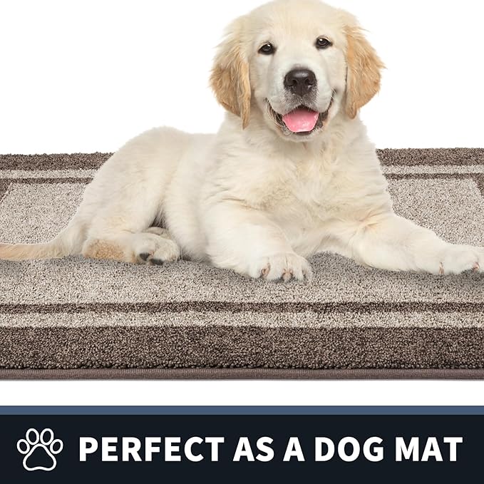 PURRUGS Dirt Trapping Door Mat 34" x 60", Non-Slip/Skid Machine Washable Entryway Rug, Shoes Scraper, Area Rug, Super Absorbent Welcome Mat for Muddy Wet Shoes and Paws, Beige & Grayish Brown