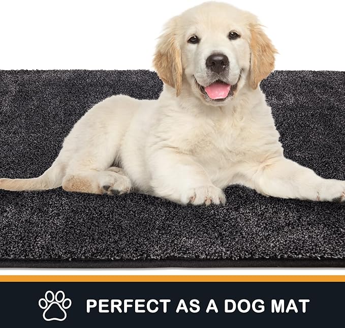 PURRUGS Dirt Trapping Door Mat 24" x 35.5", Non-Slip Machine Washable Entry Rug, Shoe Scraper, Dog Doormat, Super Absorbent Welcome Mat for Front & Back Door, Muddy Shoes & Paws, Charcoal