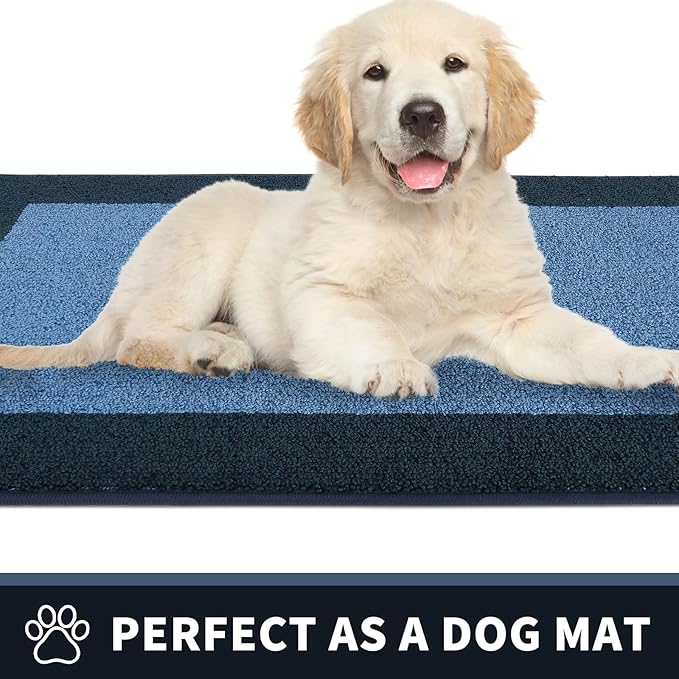 PURRUGS Dirt Trapping Door Mat 24" x 60", Non-Slip/Skid Machine Washable Entryway Rug, Shoes Scraper, Throw Rug, Super Absorbent Area Rug for Muddy Wet Shoes and Paws, Light Blue & Navy