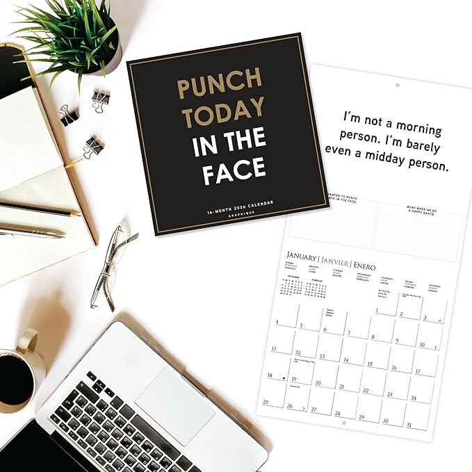 Graphique 2026 Punch Today in the Face Wall Calendar | 12” x 12” | Thick Paper | Home & Office Organizer | Large Monthly Grid | 3 Languages & Marked Holidays | 4 Month Preview Page for 2027