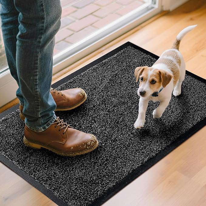 Entry Mat, Upgraded Non-Slip Inside Door Mats for Home Entrance, Ultra-Thin Super Absorbent, Machine Washable Indoor Door Mats for Front Back Door, Shoes, Paws, 1'5" x 2'6"