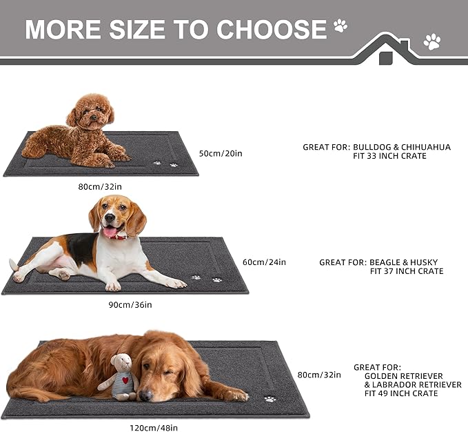 BEQHAUSE Dog Door Mat for Muddy Paws 24"x36" Dirt Trapper Absorbent Doormat Non Slip Entryway Rugs Washable Stain Resistant Welcome Floor Mat Soft Low-Profile for Front Back Door, Dark Grey
