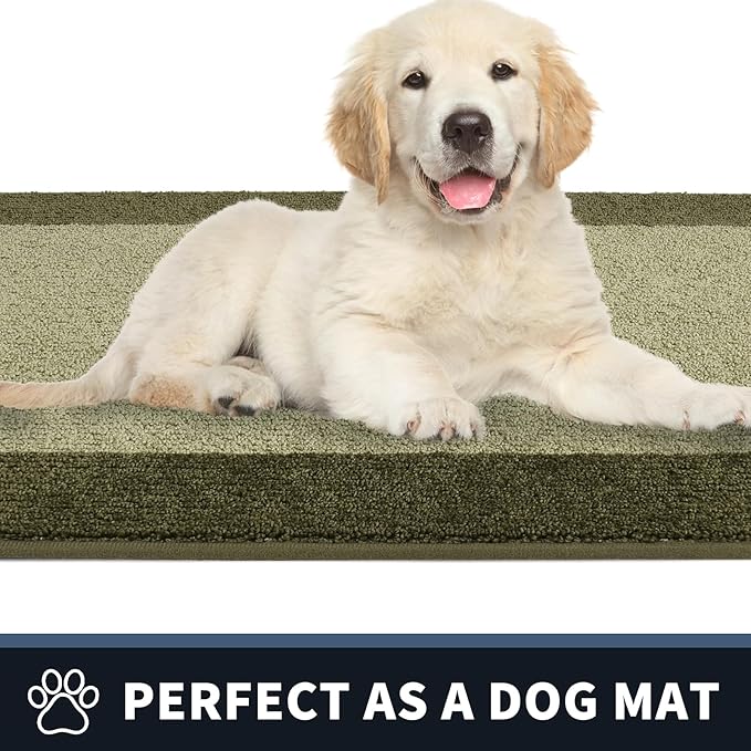 PURRUGS Dirt Trapping Door Mat 34" x 60", Non-Slip/Skid Machine Washable Entryway Rug, Shoes Scraper, Throw Rug, Super Absorbent Area Rug for Muddy Wet Shoes and Paws, Budding Green & Sage Green