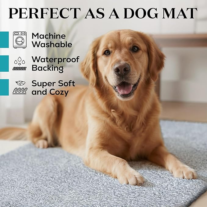 Premium Microfiber Indoor Door Mat – 20"x30" Washable Entry Mat, Non-Slip, Waterproof Backing, Super Absorbent, Low Profile Entryway Doormat for Indoor Entrance