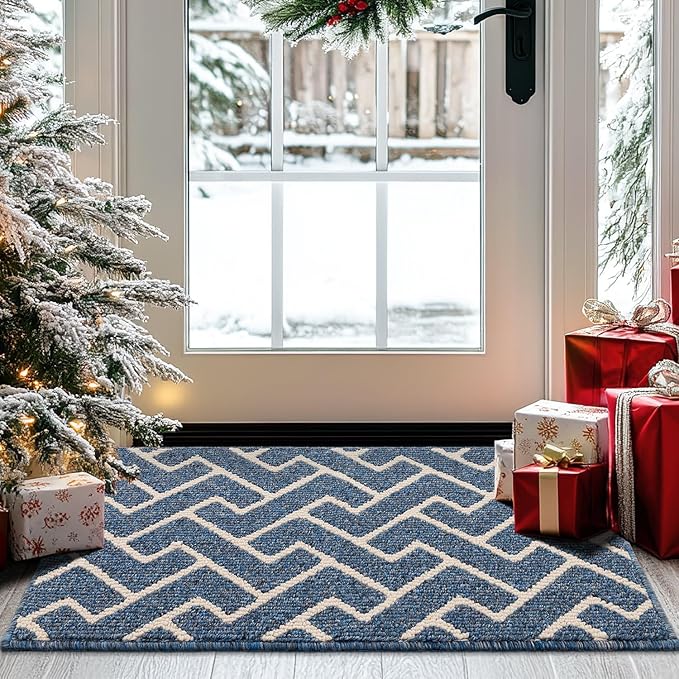 hicorfe Indoor Doormat,Front Back Door Mat Rubber Backing Non Slip Door Mats 20"x31.5" Absorbent Resist Dirt Entrance Doormat Inside Floor Mats for Entryway Washable Low-Profile(Light Blue)