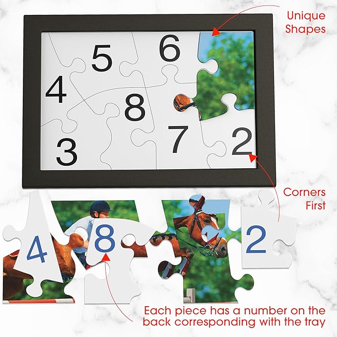 Keeping Busy Numbered 3 Pack Large Piece Puzzles for Seniors | Dementia Activities for Seniors Game Dementia Products for Elderly Alzheimers Activities (Numbered Puzzle)