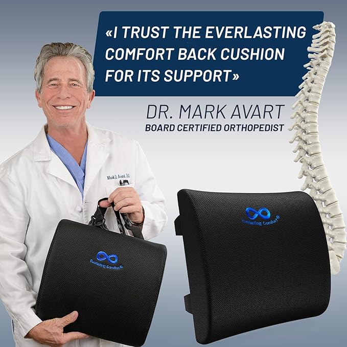 Everlasting Comfort The Original Lumbar Support Pillow - Improves Posture, Promotes Back Pain Relief - Superior Office Chair Back Support for Gaming and Desk Chairs - Lumbar Pillow for Car, Couch