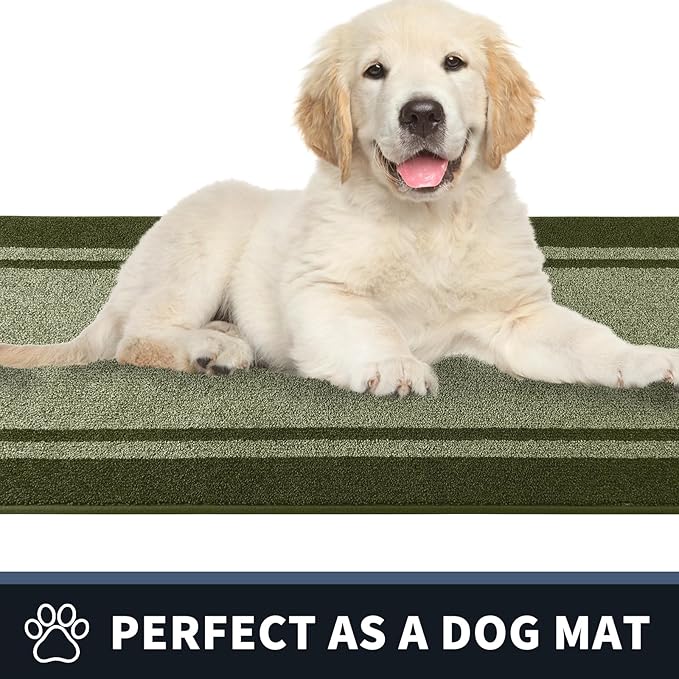 PURRUGS Dirt Trapping Door Mat 24" x 84", Non-Slip/Skid Machine Washable Entryway Rug, Shoes Scraper, Area Rug, Super Absorbent Welcome Mat for Muddy Wet Shoes and Paws, Budding Green & Sage Green