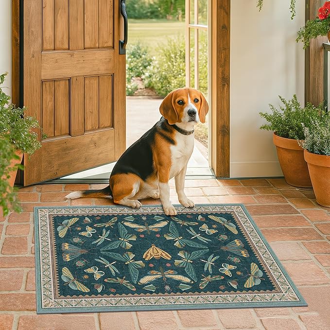 Washable Entry Rugs for Inside House - Non Slip 2x3 Small Rugs for Entryway, Kitchen, Powder Room, Stain & Fade Resistant, Teal Green