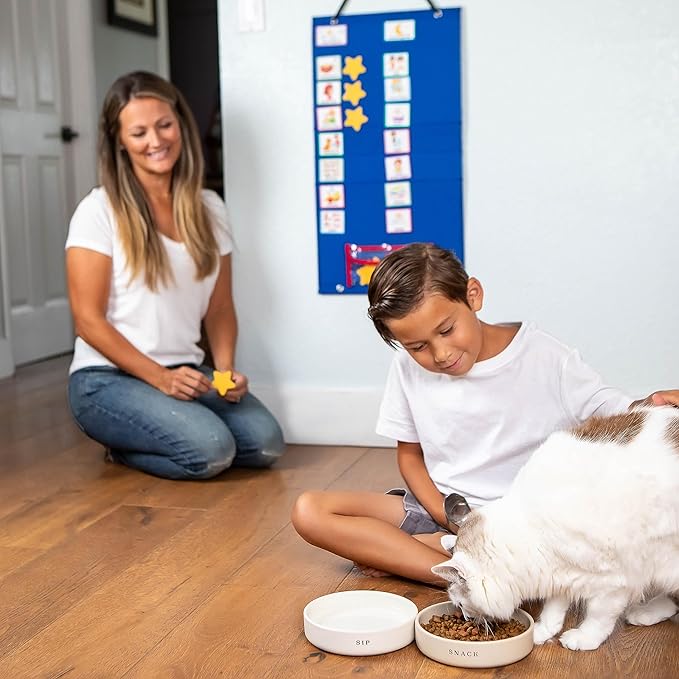 Large Visual Schedule for Kids with Autism - Morning Bedtime Routine Daily Calendar for Kids with 72 Activity, 10 Blank Cards & 15 Stars- Wall Communication Chore Chart Responsibility Planner