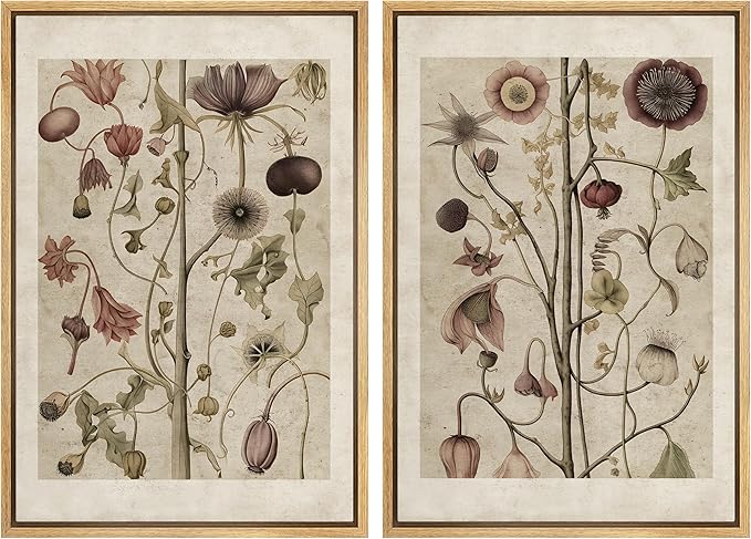 MUDECOR Framed Canvas Print Wall Art Wildflower Floral Botanical Nature Illustration Modern Art Decorative Multicolor Geometric Minimal for Bedroom - 24"x36"x2 Natural