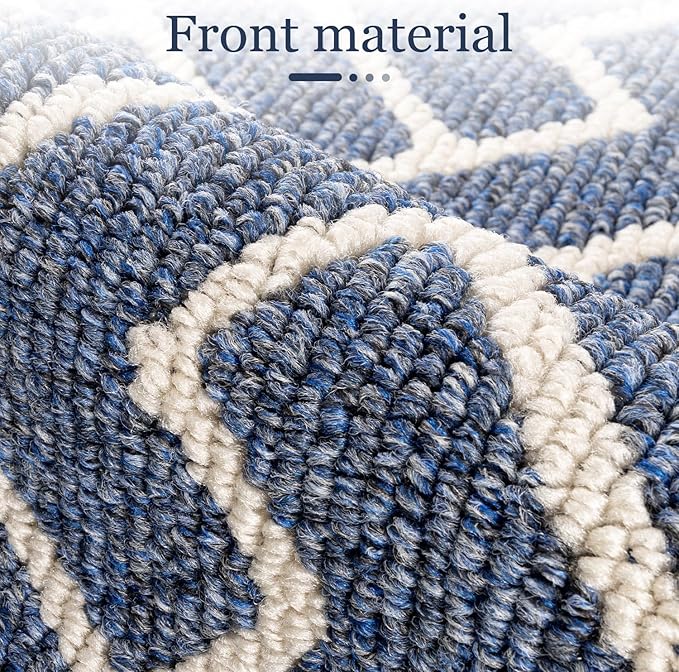 hicorfe Indoor Doormat,Front Back Door Mat Rubber Backing Non Slip Door Mats 20"x31.5" Absorbent Resist Dirt Entrance Doormat Inside Floor Mats for Entryway Washable Low-Profile(Light Blue)