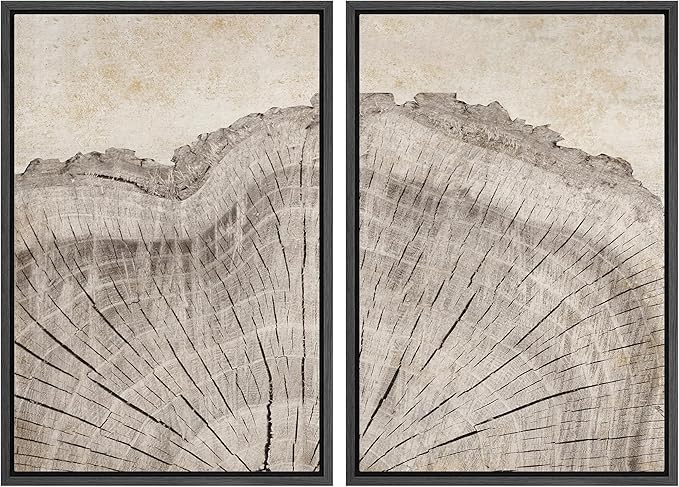 MUDECOR Framed Canvas Print Wall Art Oak Wood Tree Rings Nature Illustration Modern Art Decorative Multicolor Geometric Minimal for Bedroom - 16"x24"x2 Black