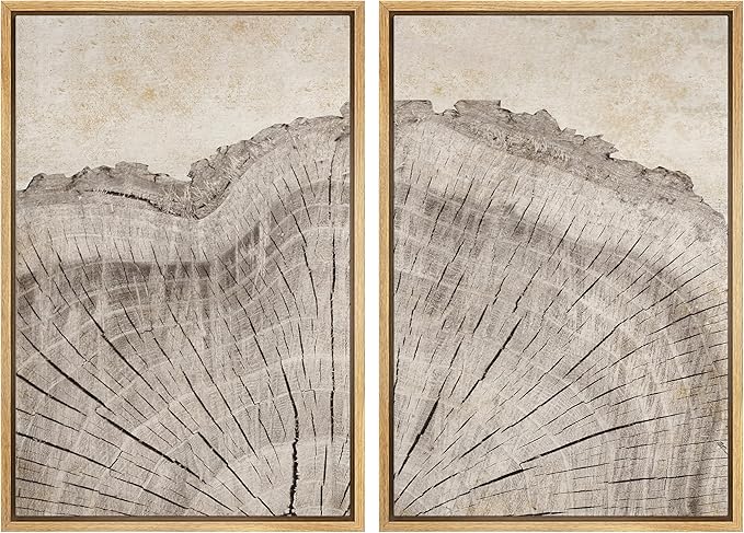 MUDECOR Framed Canvas Print Wall Art Oak Wood Tree Rings Nature Illustration Modern Art Decorative Multicolor Geometric Minimal for Bedroom - 24"x36"x2 Natural