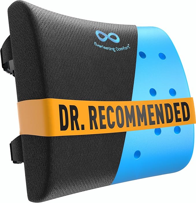 Everlasting Comfort Lumbar Support Pillow for Office Chair - Memory Foam Back Cushion for Car Seat - Promotes Better Posture, Back Pain Relief - Ideal Gaming and Desk Chairs Work and Home Essentials