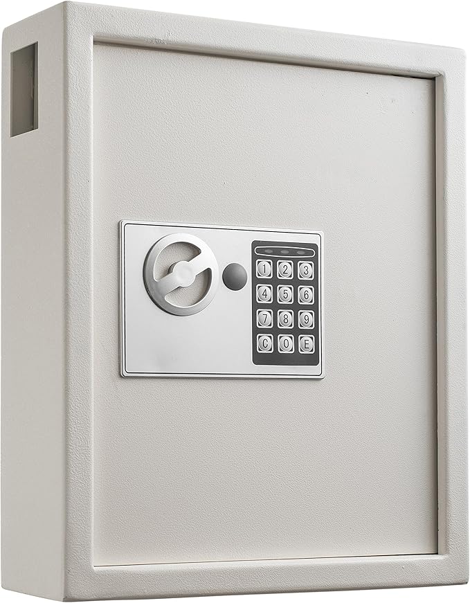 Adiroffice Key Holder Wall Mount - 40-keys Lock Box with Code, Key Cabinet Wall Mount, Valet Parking Key Box, Car Dealer Key Cabinet - Space Saving Locking Key Box Wall Mount with Digital Lock