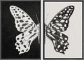 MUDECOR Framed Canvas Wall Art Black and White Butterfly Prints Minimalist Modern Art Boho Wall Decor for Bedroom - 24"x36"x2 Black
